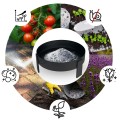Palenisko ogrodowe 80 cm Berdsen BD-883 – stalowa misa ogniskowa z osłoną iskier